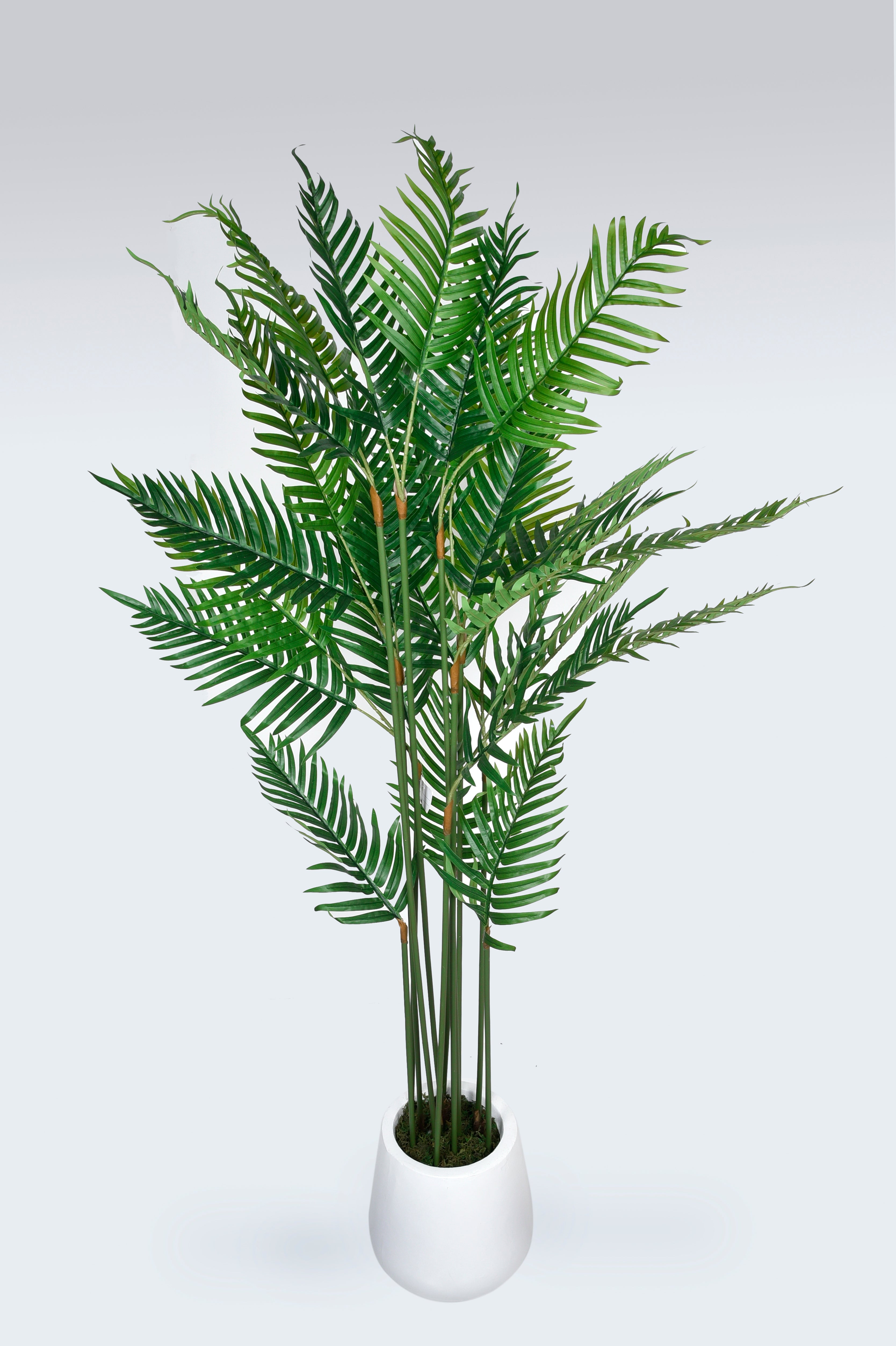 Artificial Areca Palm Big 2m