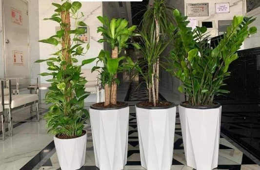 Bundle of 4
