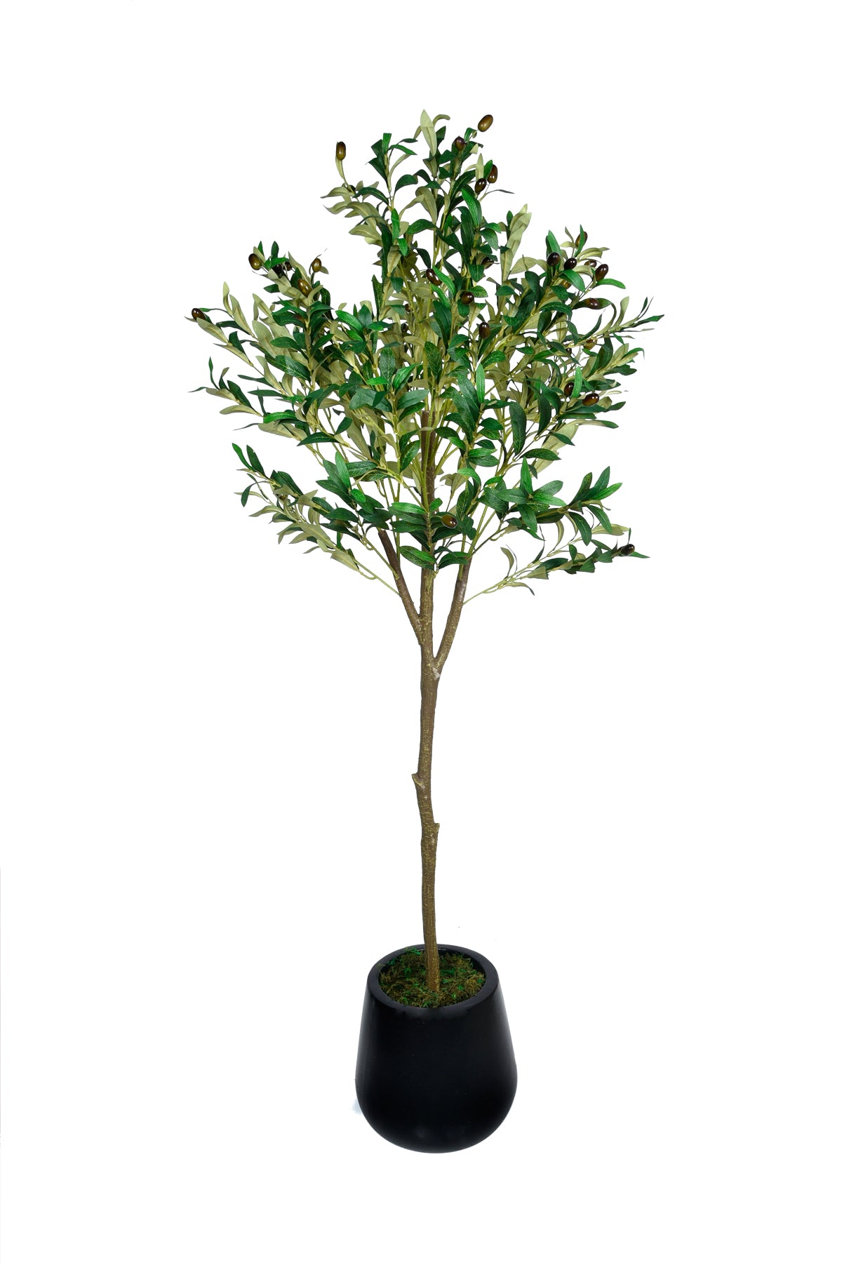 Artificial Olive in Fiber Pot