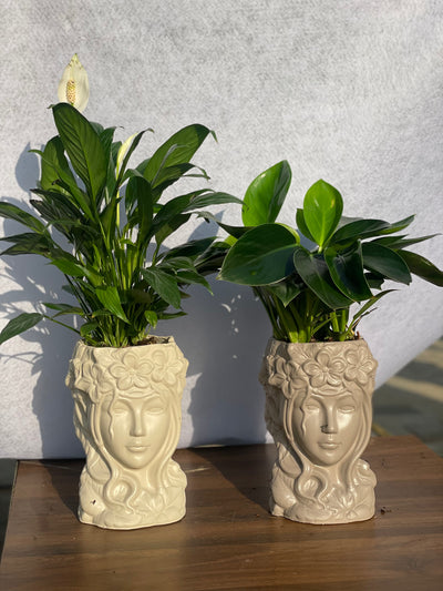 Goddess Face Pot Each
