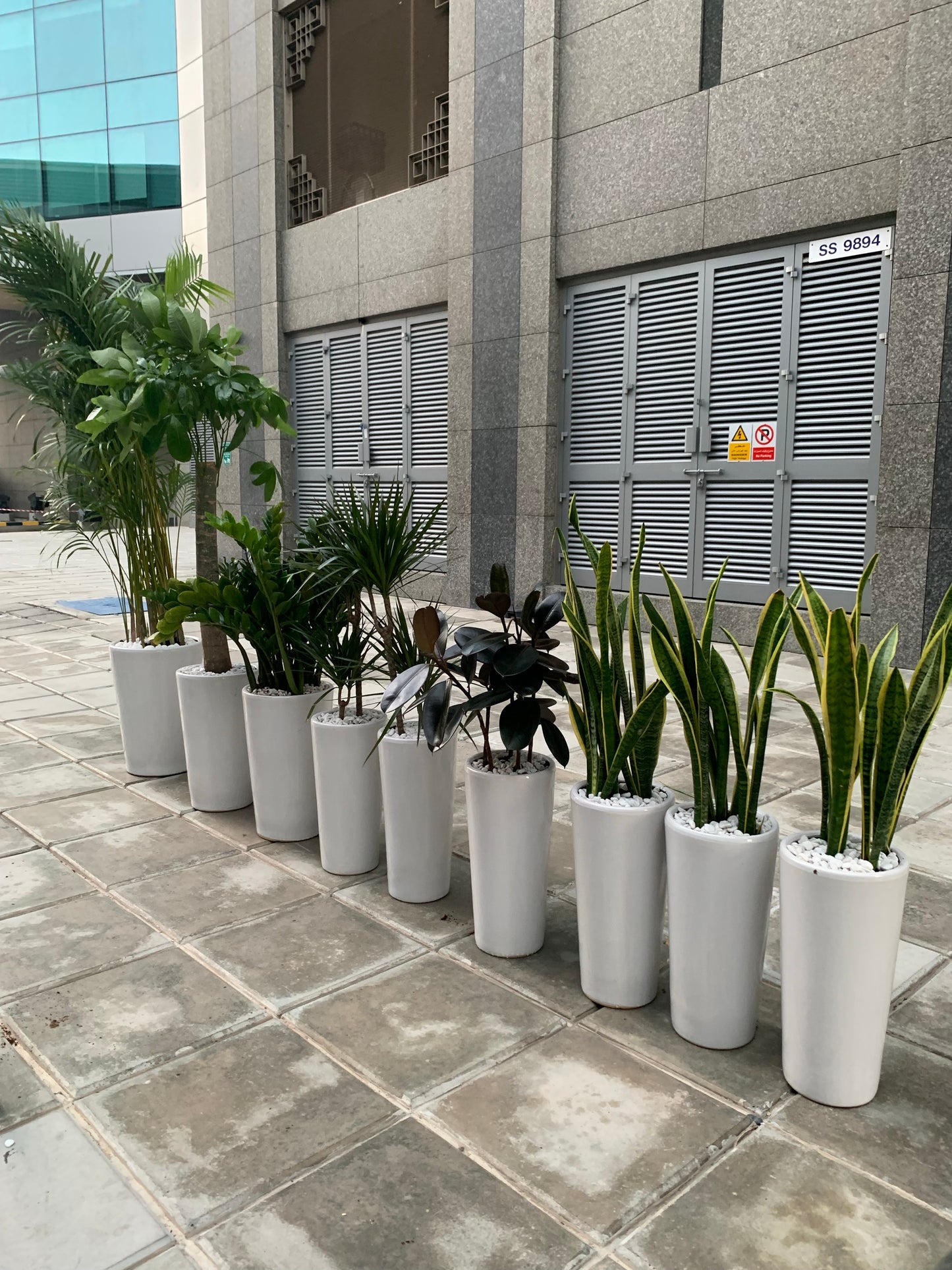 AA Office Plant Bundle (9pcs) New