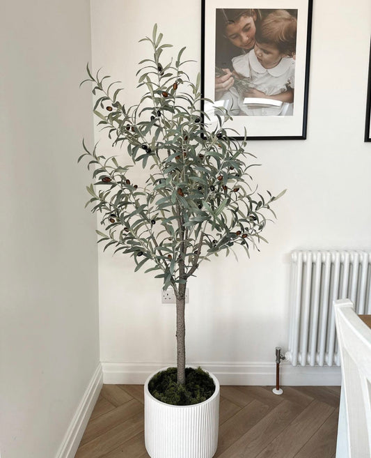 Artificial Olive Tree in White Pot