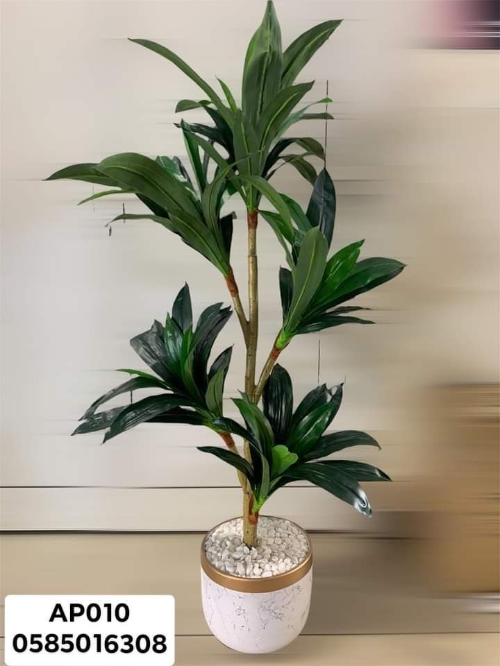 Artificial Palnt Dracaena