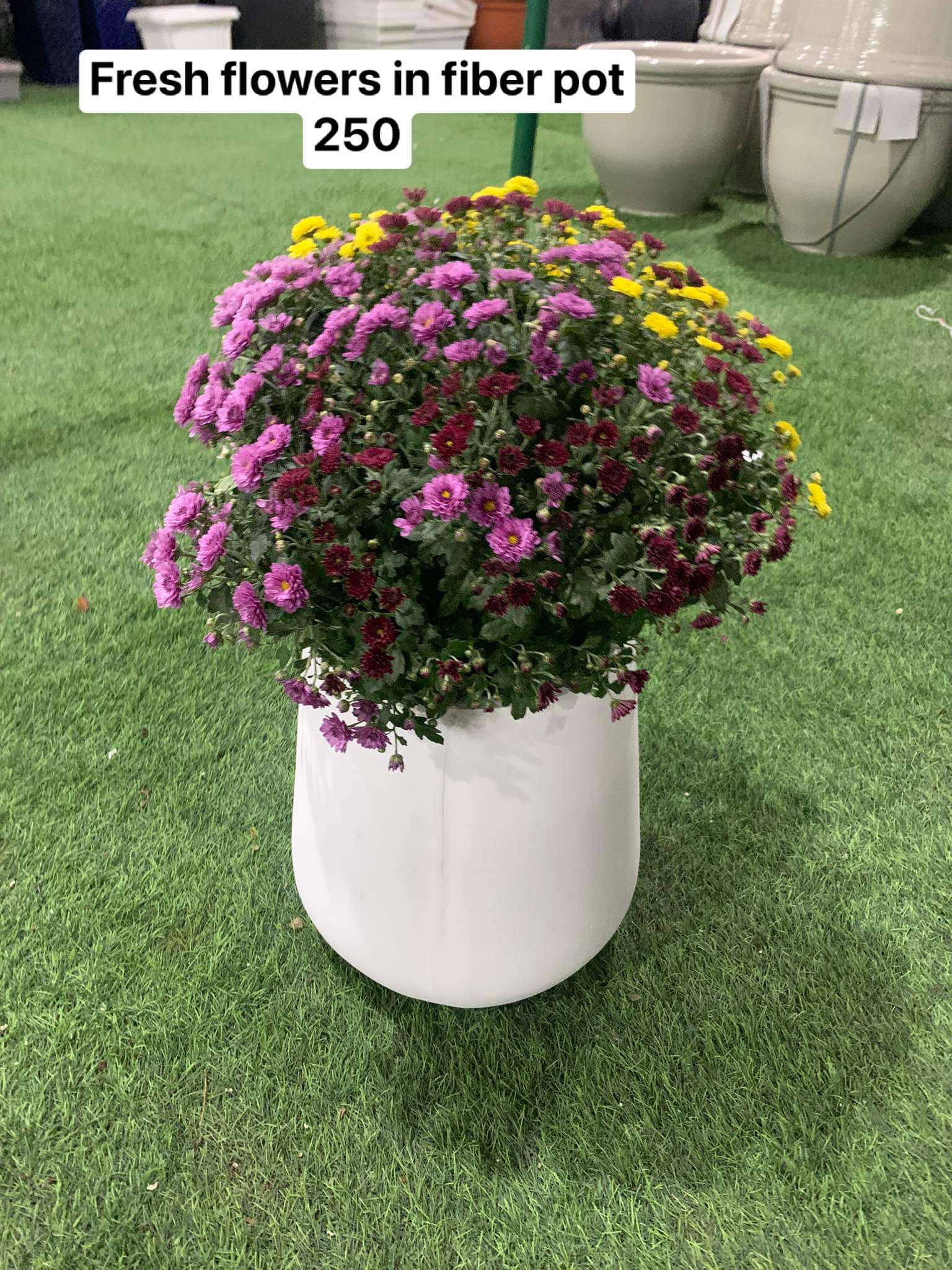 Fresh flowers in fiber pot