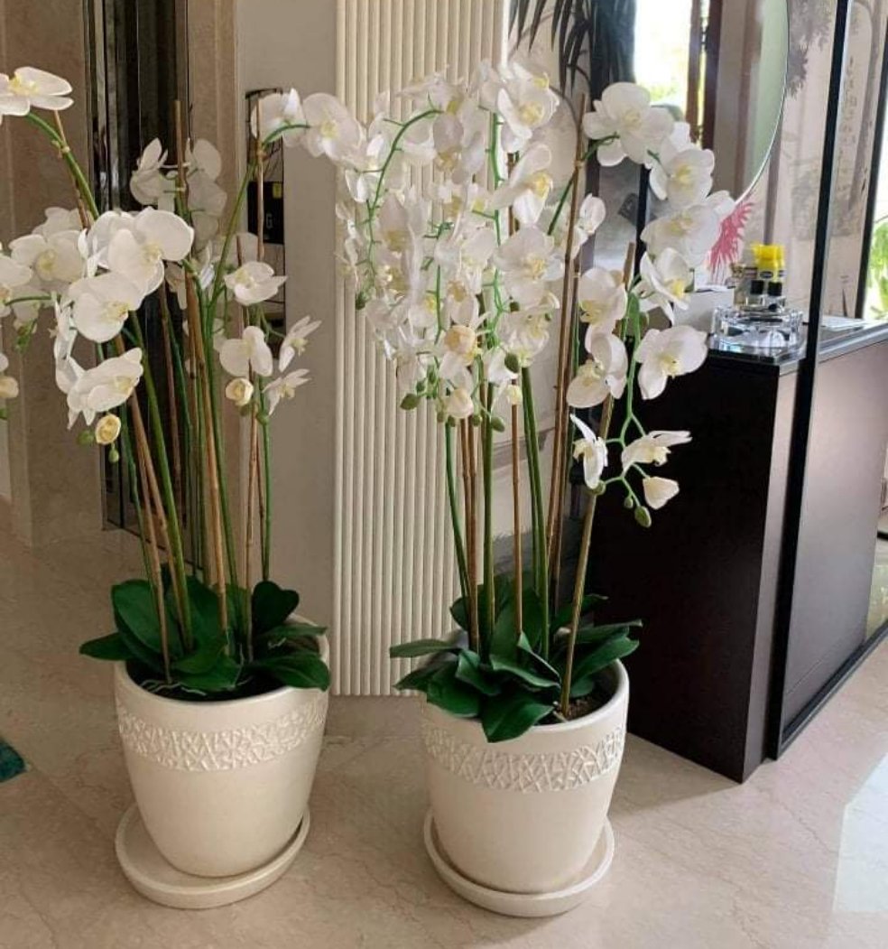 Artificial Orchids